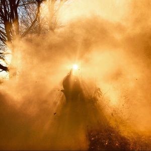 Meet your Posher, Jake